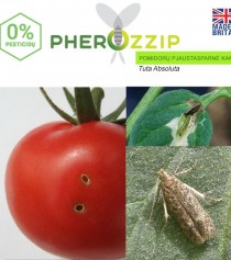 Feromonas pomidorų pjaustasparnėm kandim (Tuta absoluta) Pherozzip, 1 vnt